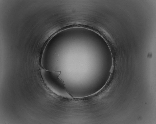 X0000090410977200707131143