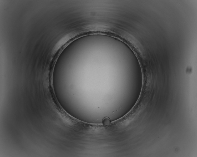 X0000090410978200707131143