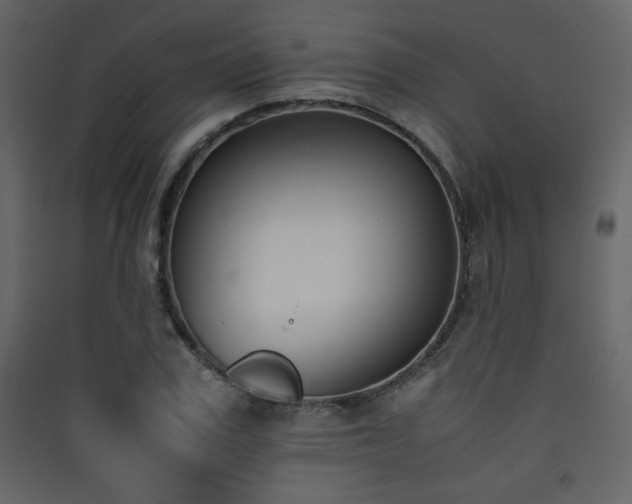 X0000090410979200707131143