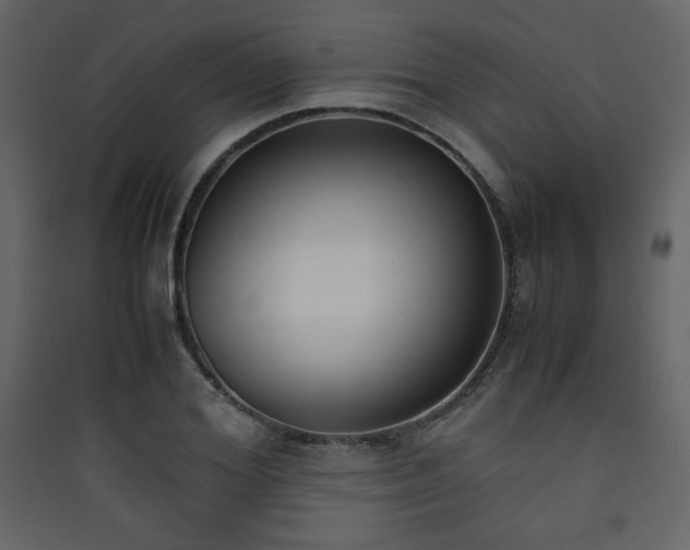 X0000090410980200707131143