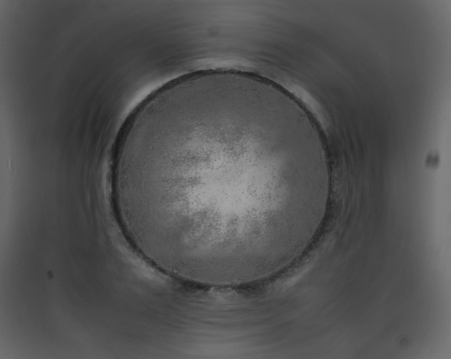 X0000090410983200707131143