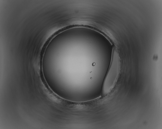 X0000090410984200707131143