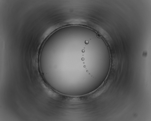X0000090410986200707131143
