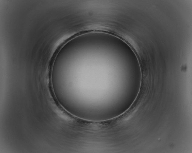 X0000090410987200707131143