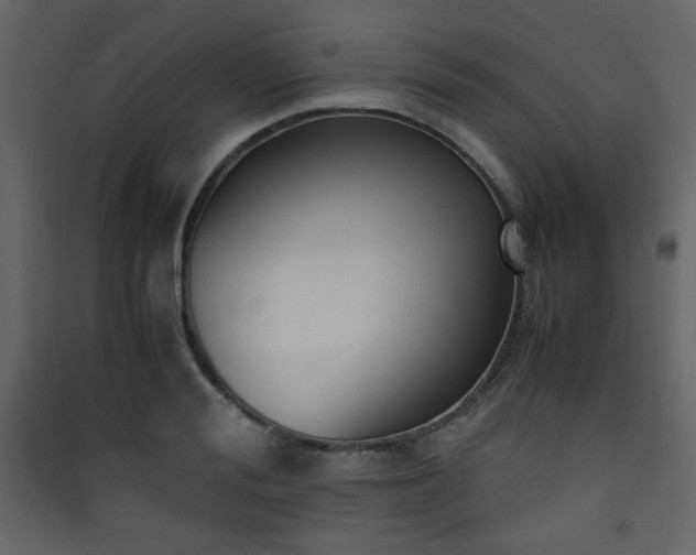 X0000090410988200707131143