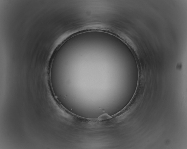 X0000090410989200707131143