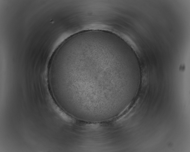 X0000090410990200707131143