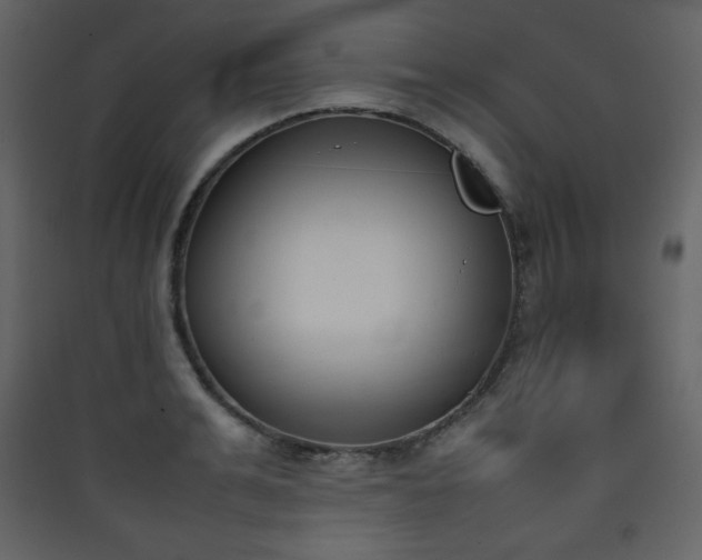 X0000090410991200707131143