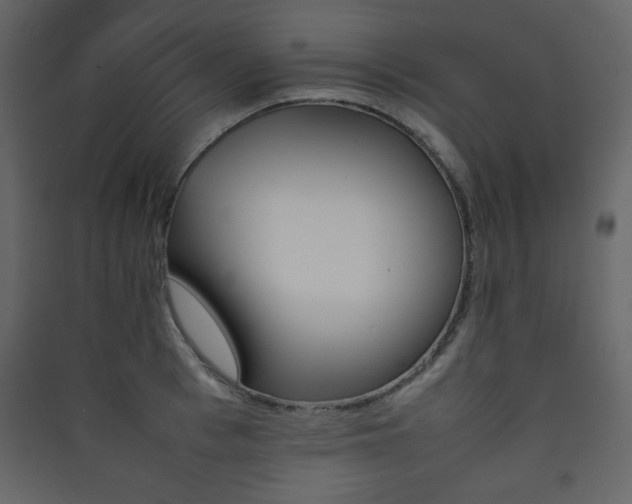 X0000090410993200707131143