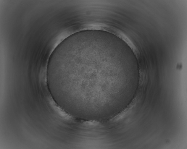 X0000090410994200707131143