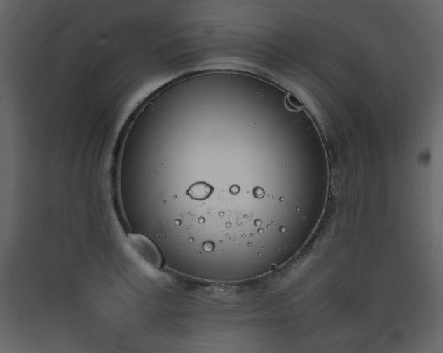 X0000090410995200707131143