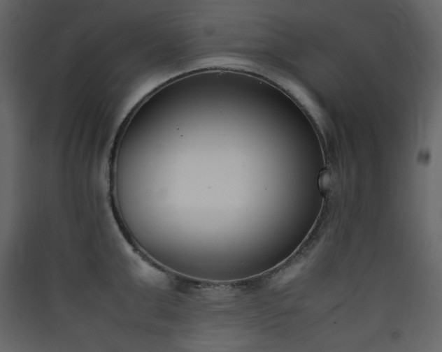 X0000090410999200707131143