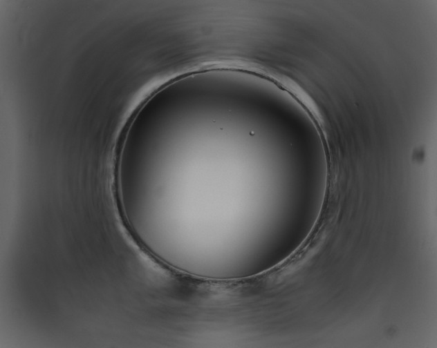 X0000090411005200707131143