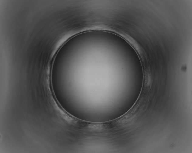 X0000090411006200707131143
