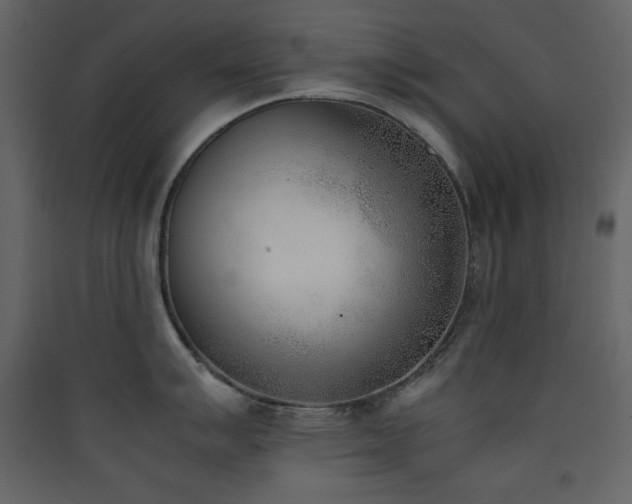 X0000090411007200707131143