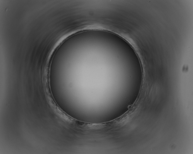 X0000090411008200707131143