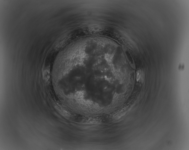 X0000090411011200707131142