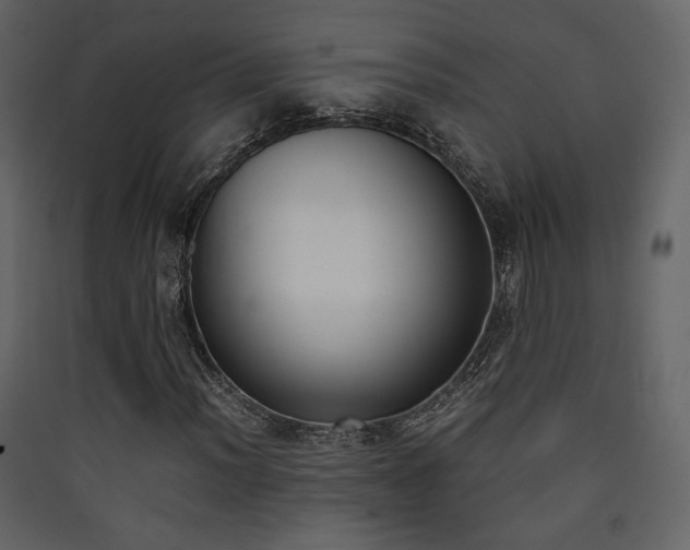 X0000090411012200707131142