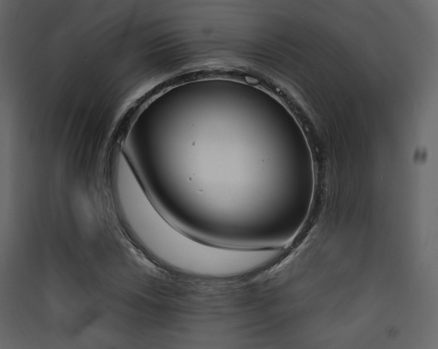 X0000090411018200707131142
