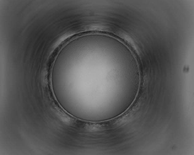 X0000090411019200707131142