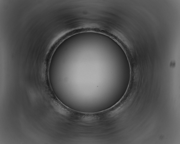 X0000090411021200707131142