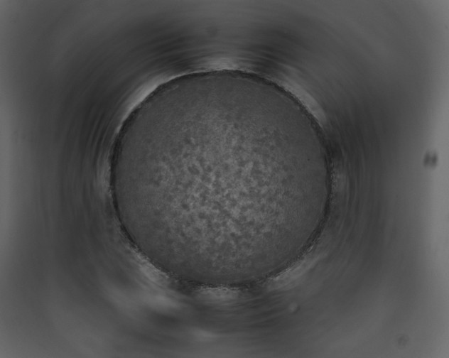 X0000090411023200707131143