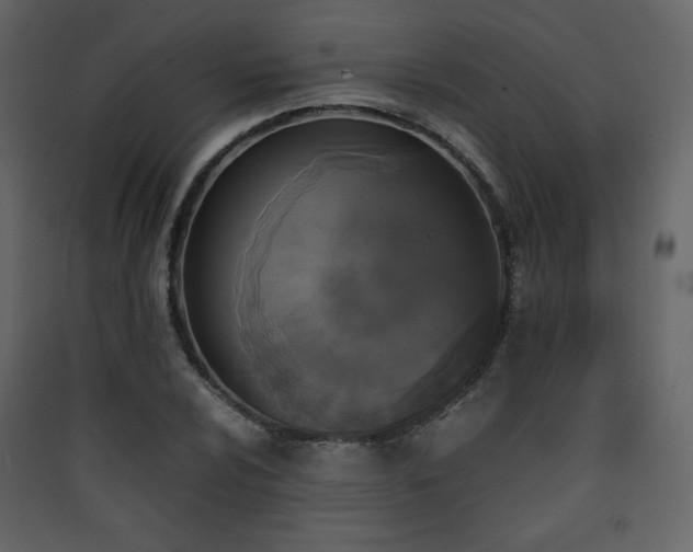 X0000090411024200707131143