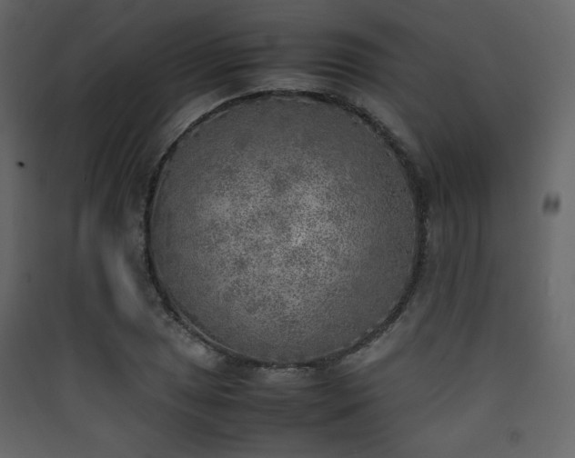 X0000090411025200707131143