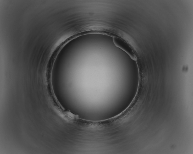 X0000090411026200707131143