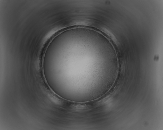 X0000090411027200707131143