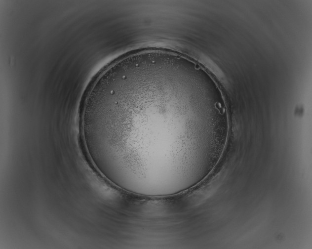 X0000090411028200707131143