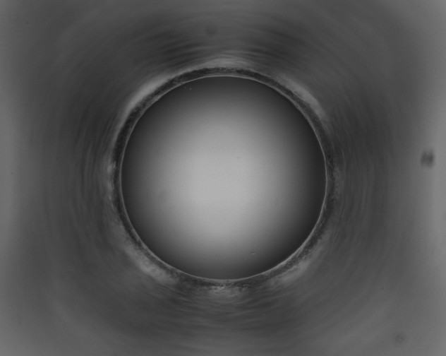 X0000090411029200707131143