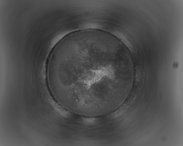 X0000090411031200707131143