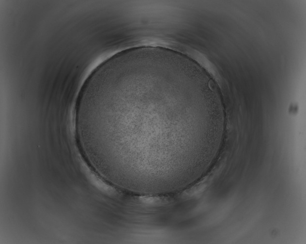 X0000090411032200707131143