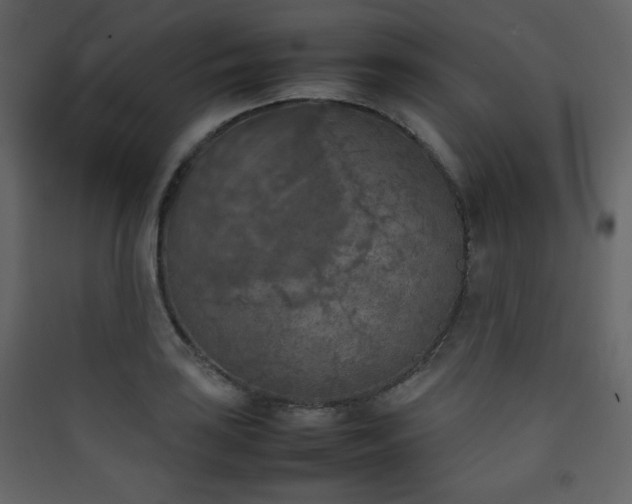 X0000090411035200707131143