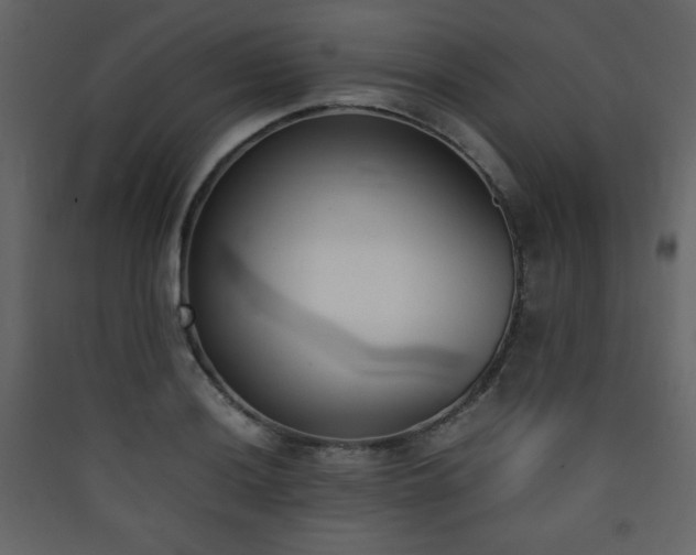 X0000090411036200707131143