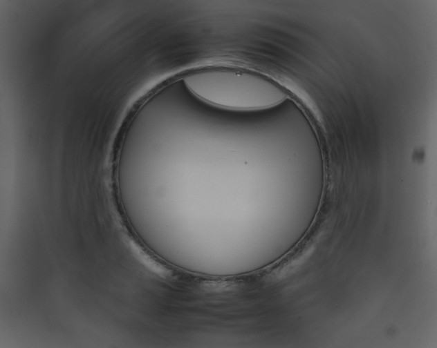 X0000090411037200707131143