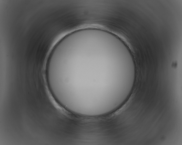 X0000090411038200707131143