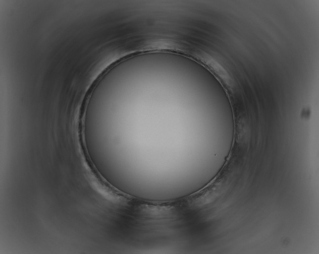 X0000090411039200707131143