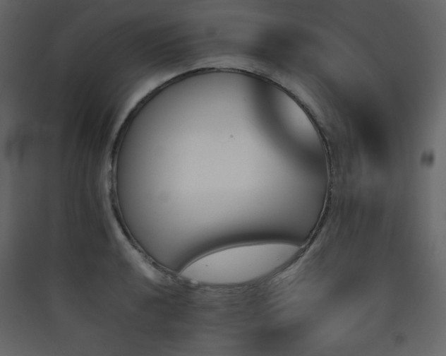 X0000090411040200707131143