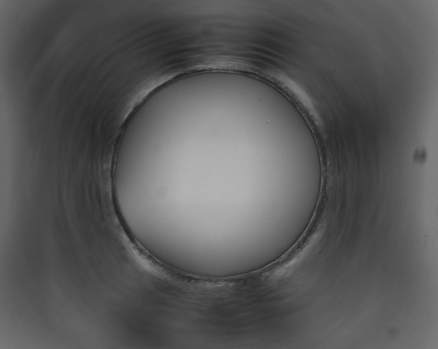 X0000090411041200707131143