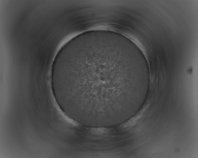 X0000090411045200707131143