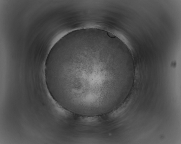 X0000090411047200707131143