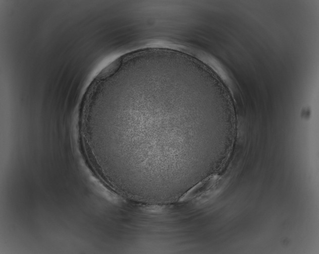 X0000090411048200707131143