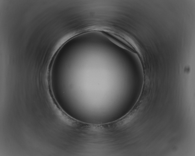 X0000090411050200707131143