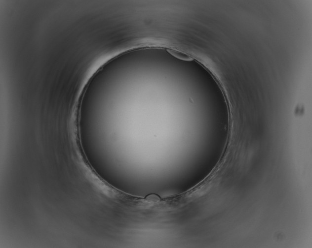 X0000090411056200707131143