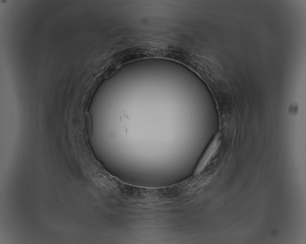X0000090411057200707131142