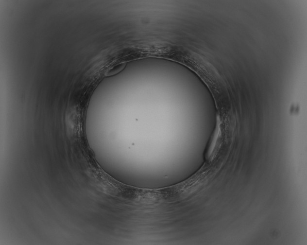X0000090411058200707131142