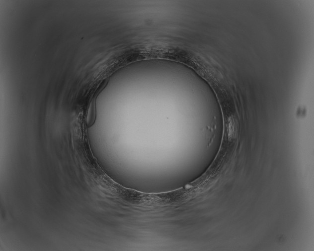 X0000090411059200707131142