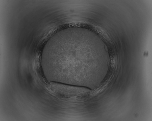 X0000090411060200707131142